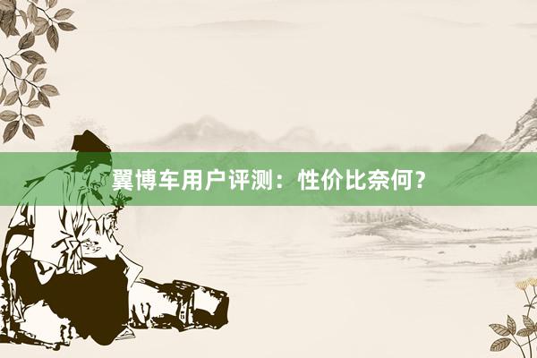 翼博车用户评测：性价比奈何？